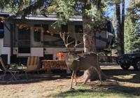 park-at-the-river-buck-01