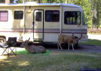 wallowa-lake-rv-park-2018_13